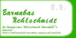 barnabas mehlschmidt business card